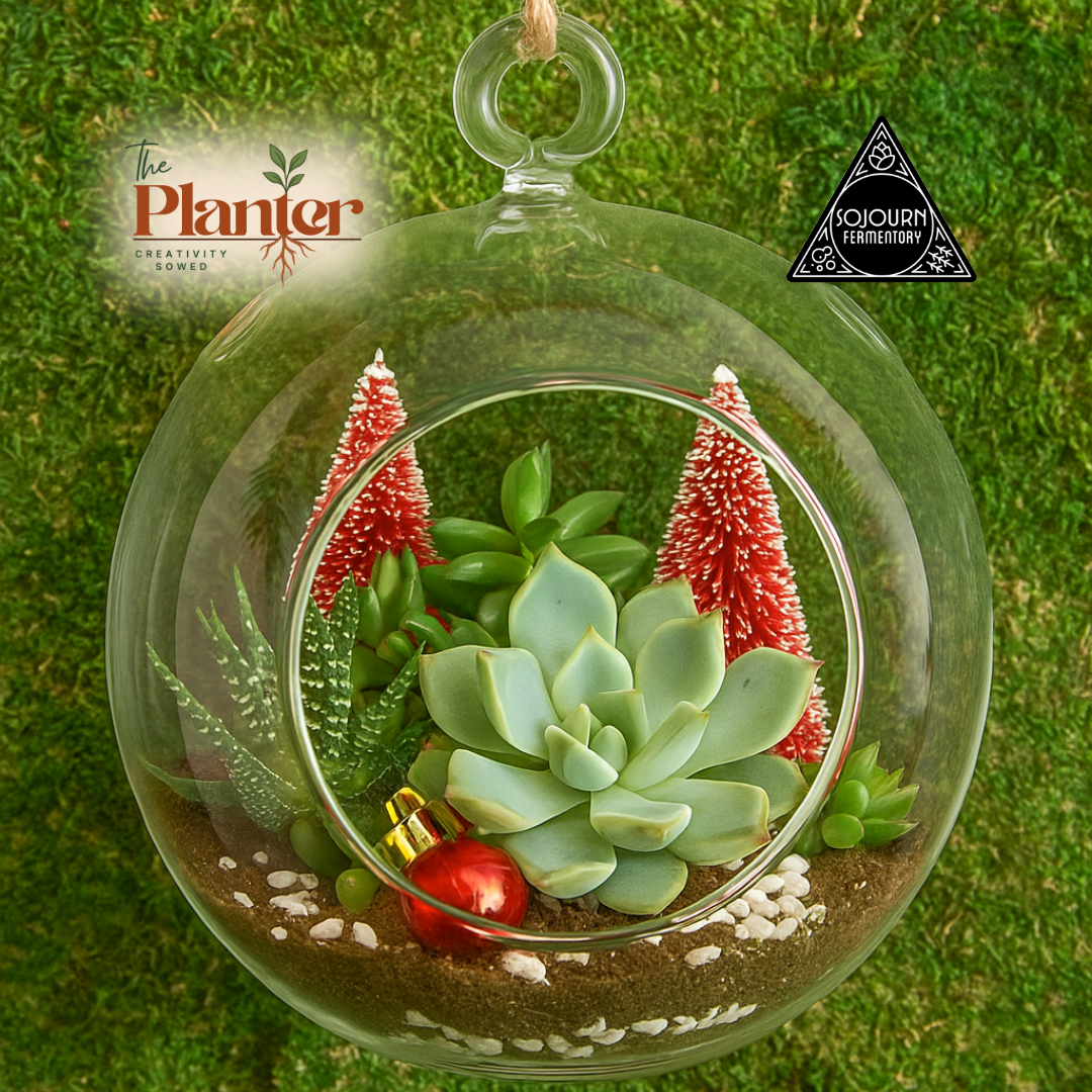 Holiday Plant & Sip at Sojourn Fermentory 11.30