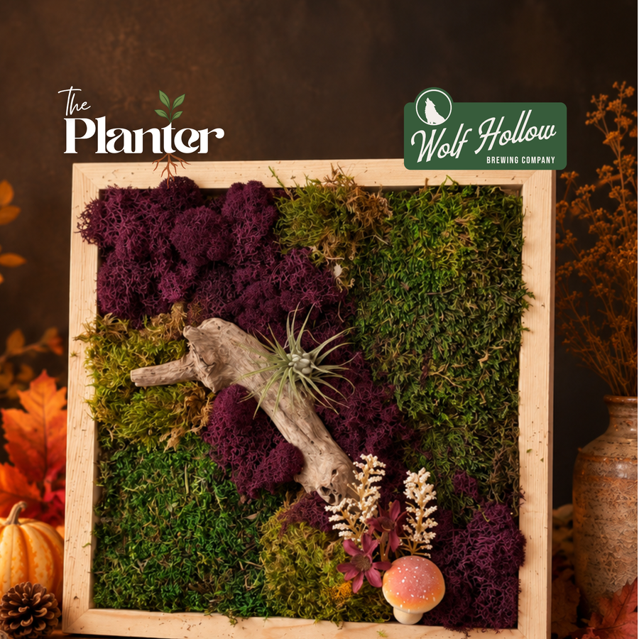 Plant & Sip: Fall Moss Frames | Wolf Hollow Brewing Co., Glenville NY