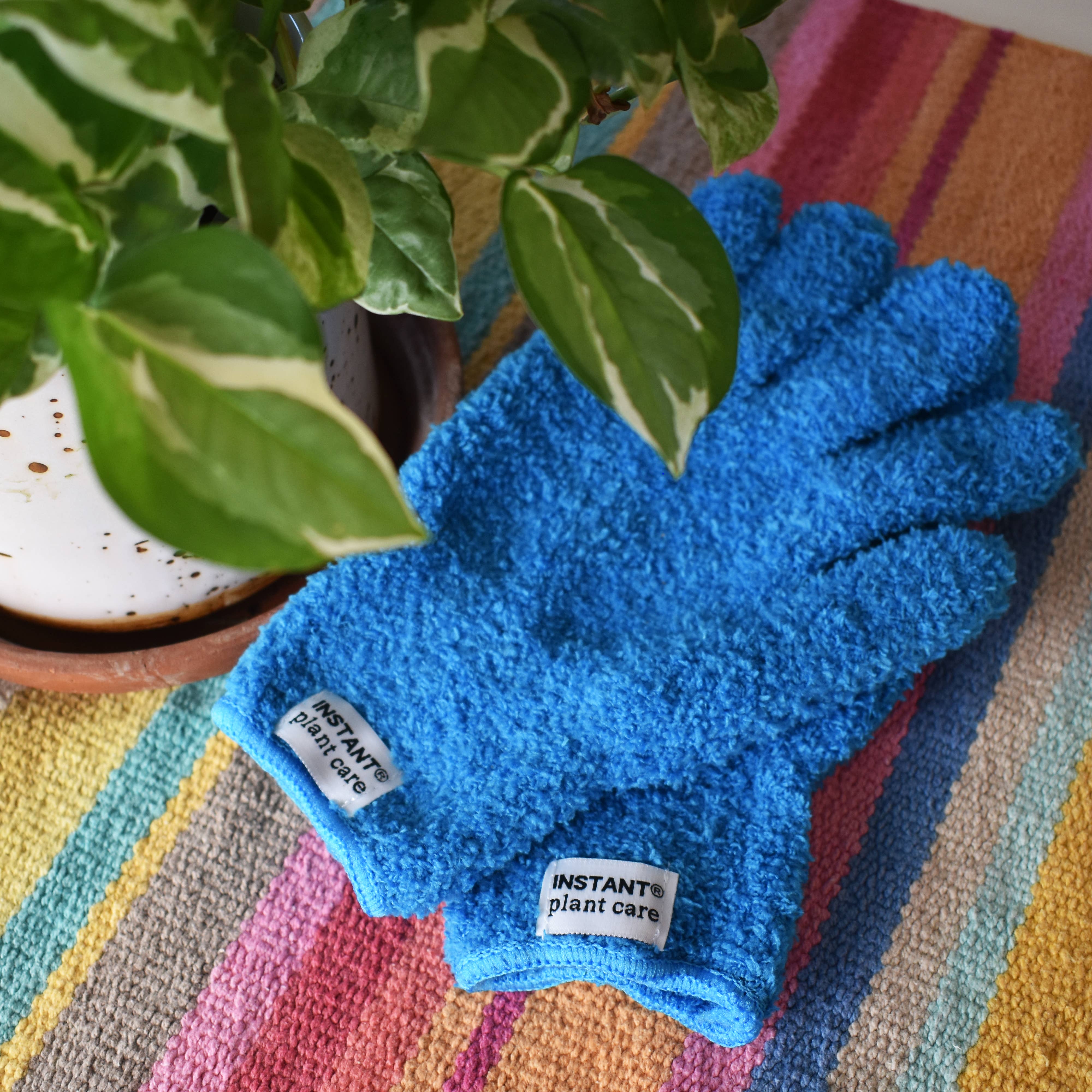 Instant Plant Food - Simply the Best Micro-Fiber Gloves For Cleaning Houseplants