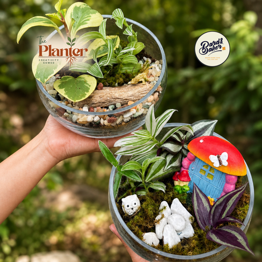 Mini Home Moss Garden Workshop at Bard & Baker | Aug 2nd