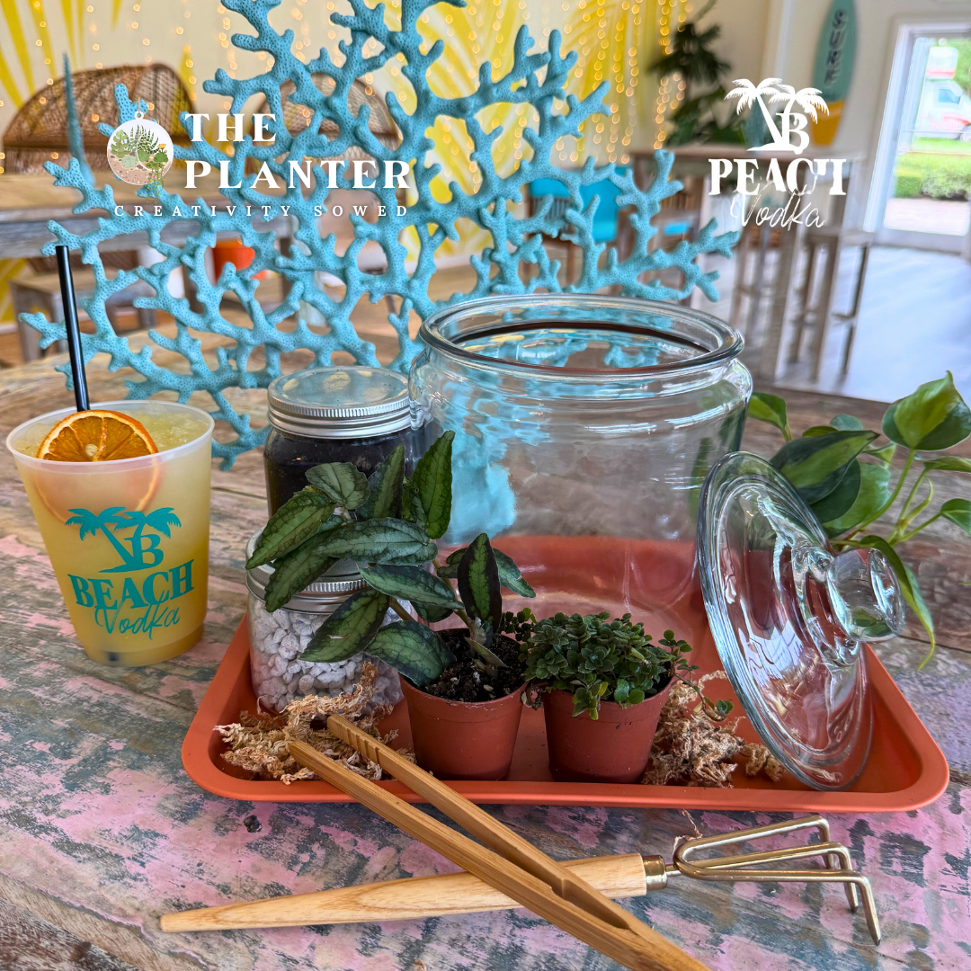 Plant & Sip at Beach Vodka 8.21