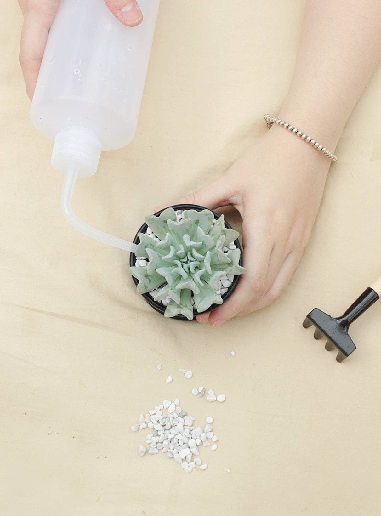 Watering Bottle 500ML - Perfect for Succulents & Cactus