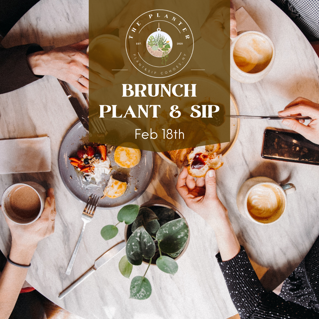 Brunch Plant & Sip Feb 18th