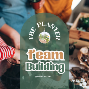 Team Building / Work Parties