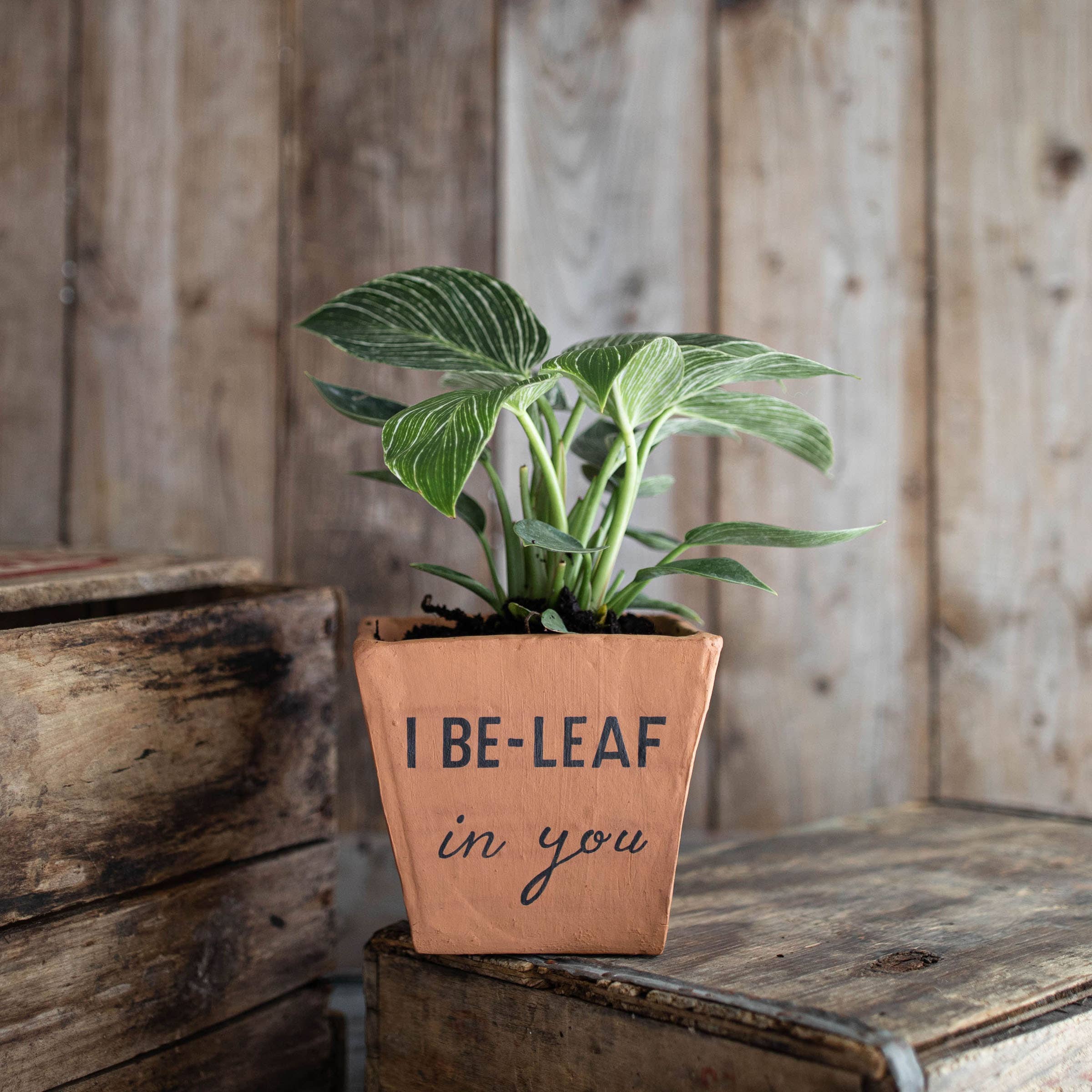 Foreside Home & Garden - I Be-Leaf in You Terracotta Planter