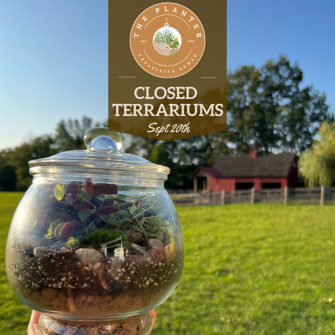 Closed Terrarium Workshop at June Farms 9/20/23