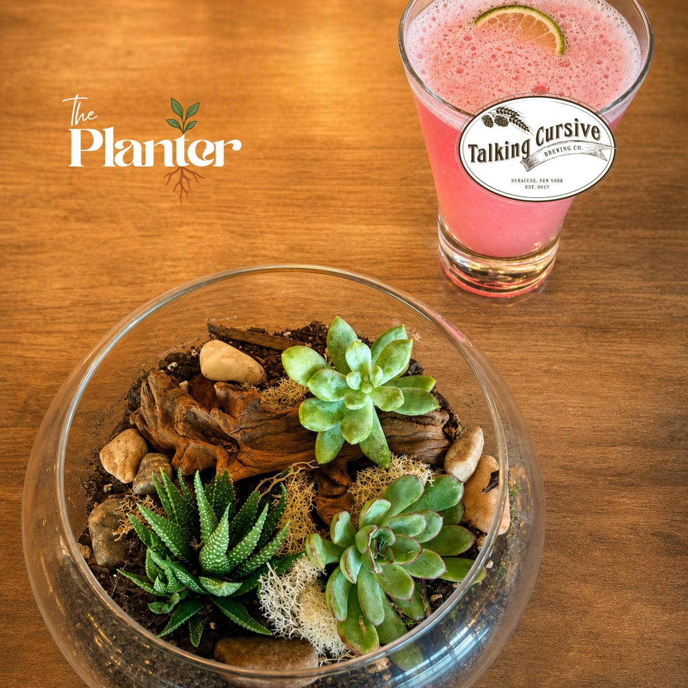 Girls' Night Out: Plants, Bites & Tinis Terrarium Workshop
