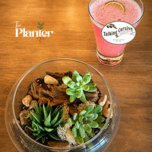 Girls' Night Out: Plants, Bites & Tinis Terrarium Workshop