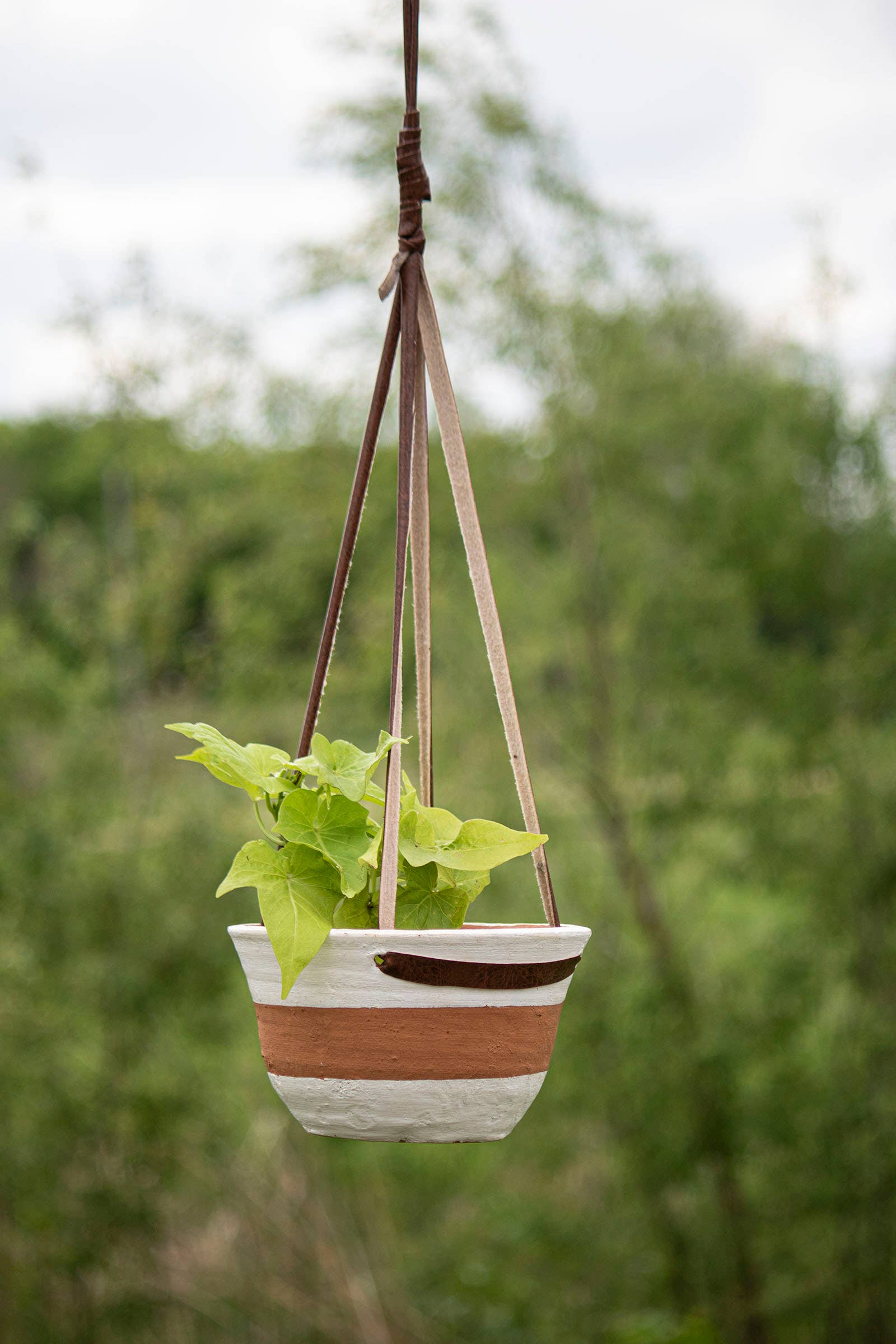 Gabe Hanging Terracotta Planter White