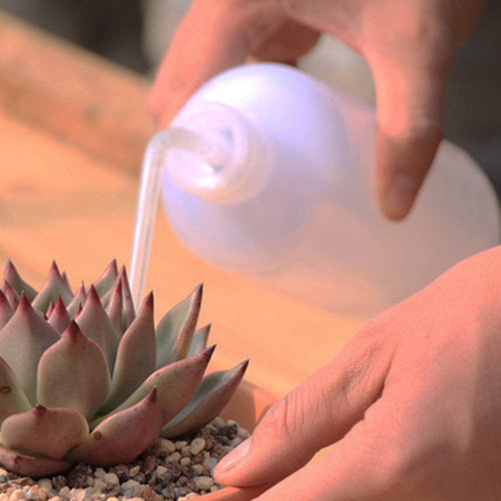 Watering Bottle 500ML - Perfect for Succulents & Cactus