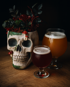 Plant & Sip - Voodoo Brewing 10.19