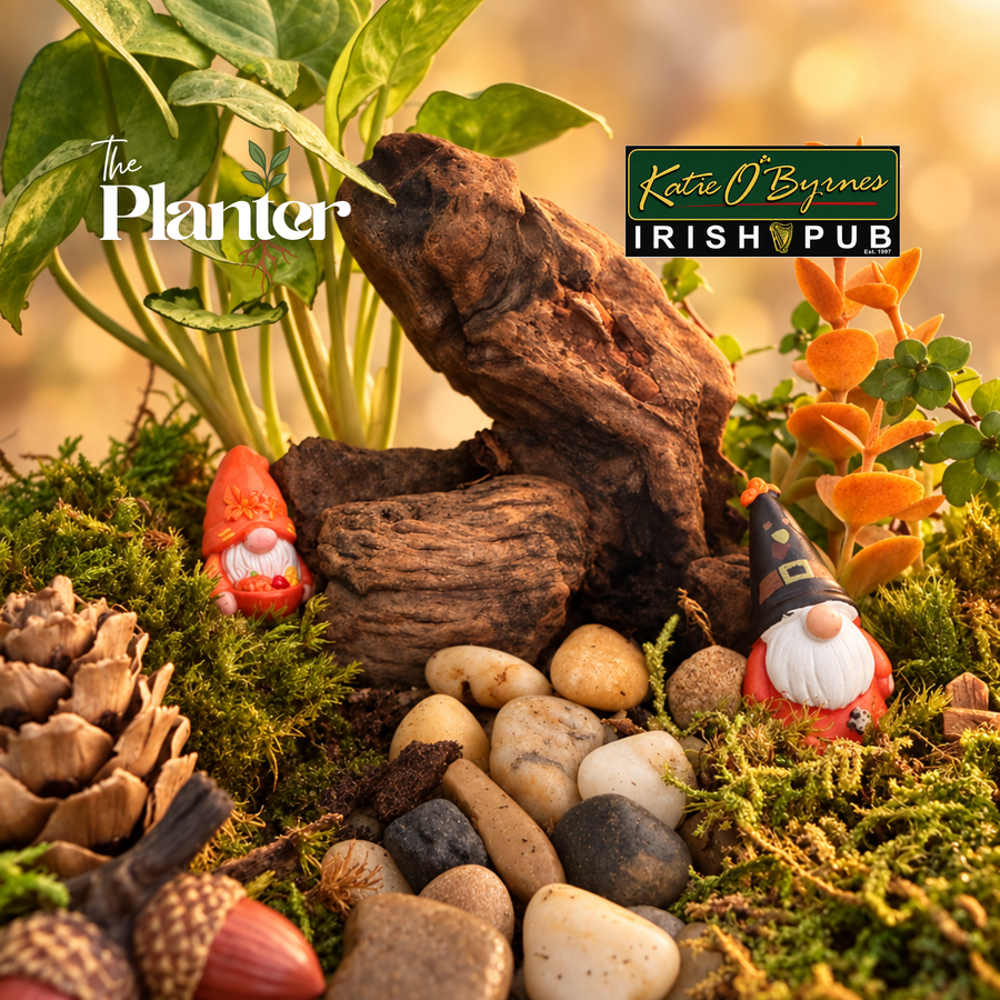 Gnome Terrarium Workshop | Katie O'Byrne's, Schenectady NY