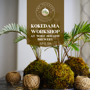 Kokedama Workshop at Wolf Hollow Brewing Co.