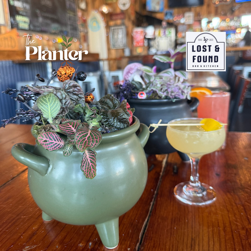 Spooky Cauldron Workshop: Tropical Plants | Lost & Found, Albany NY
