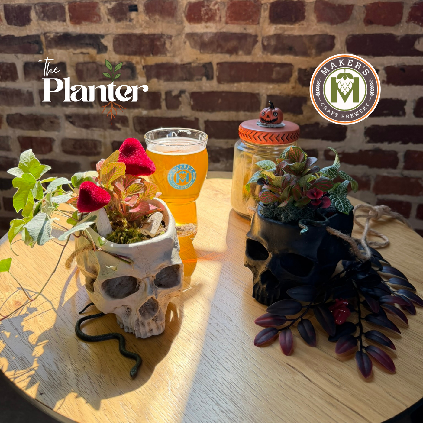 Halloween Plant & Sip: Skull Planter Workshop | Makers Craft Brewery, Norfolk VA