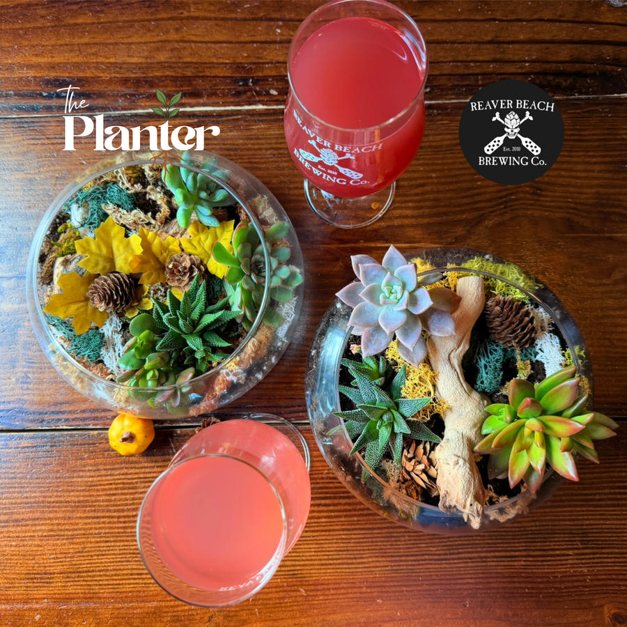 Fall Plant & Sip: Succulent Terrarium Workshop | Reaver Beach Brewing Co, VA Beach