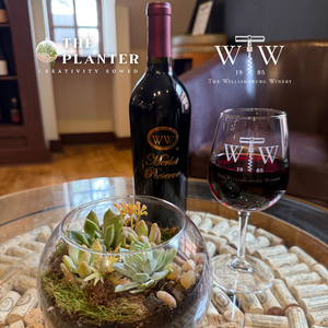 Plant & Sip at Marchants Square Wine Bar 10.22