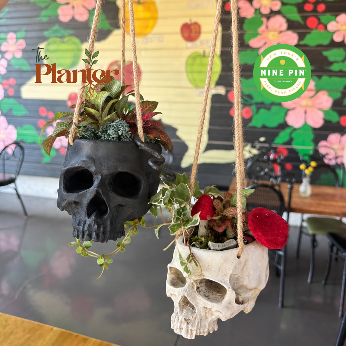 Hanging Skull Planter Workshop: Tropical Plants | Nine Pin Cider Works, Albany NY