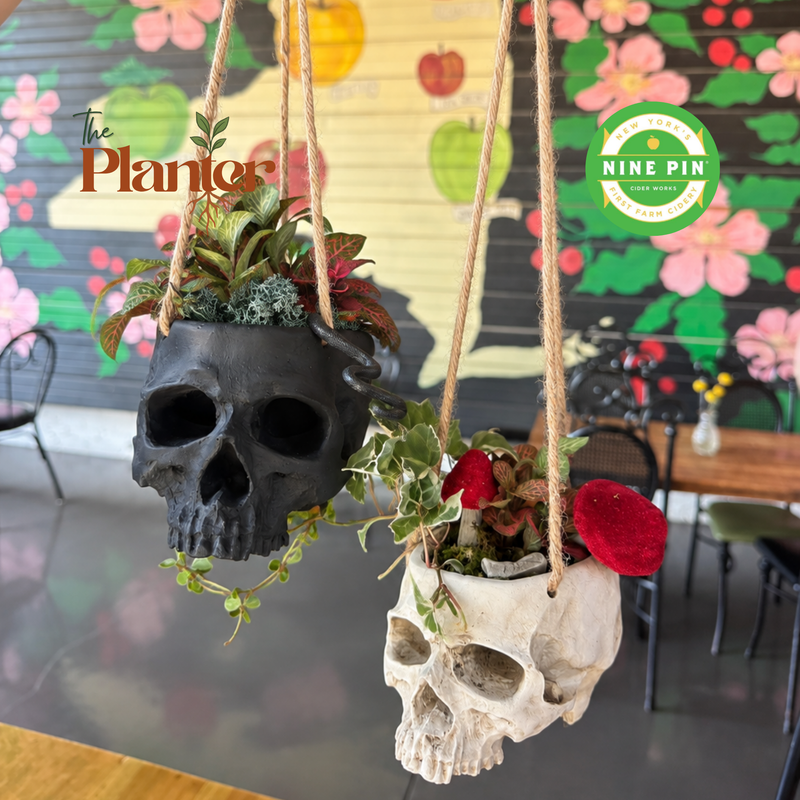Hanging Skull Planter Workshop: Tropical Plants | Nine Pin Cider Works, Albany NY