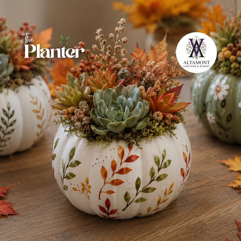 Paint & Plant: Ceramic Pumpkin Succulent Workshop | Altamont Vineyard & Winery, Altamont NY