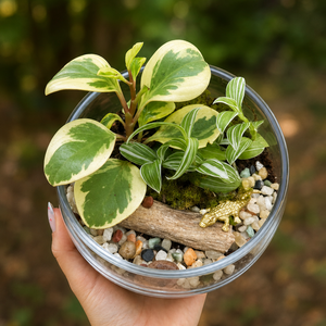 Mini Home Moss Garden Workshop at Bard & Baker | Aug 2nd
