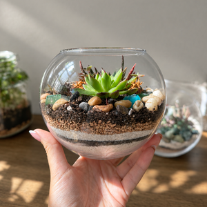 Fall Plant & Sip: Succulent Terrarium Workshop | The Venue at Skyline, Lanesborough MA