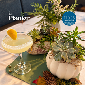 Fall Succulent Centerpiece Workshop: Paint a Pumpkin or Pick a Planter | Tides Coastal Kitchen, Virginia Beach VA