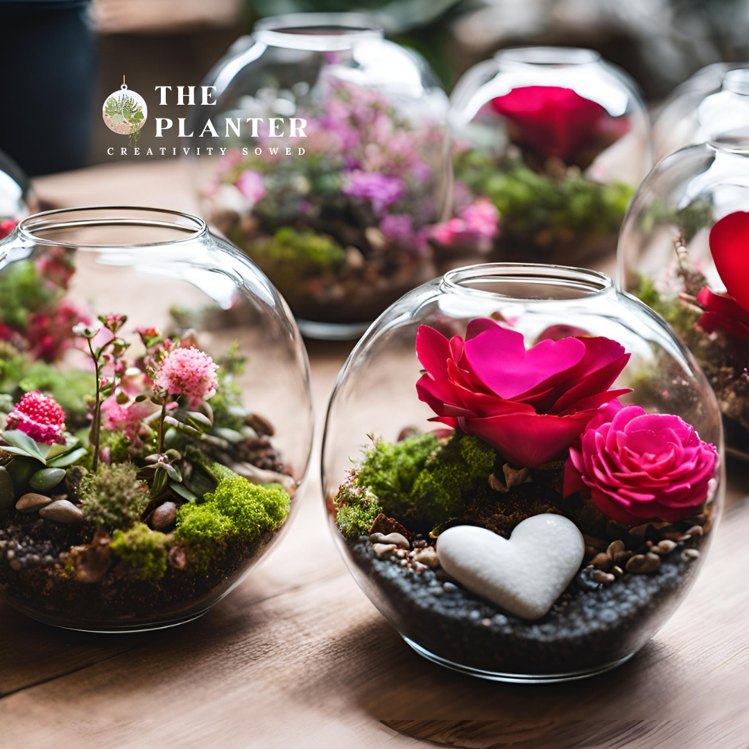 Valentines Day Terrarium Workshop at The Planter Feb 23rd