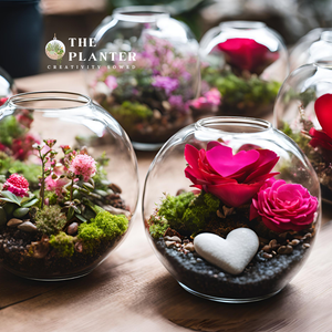 Valentines Day Terrarium Workshop at The Planter Feb 23rd