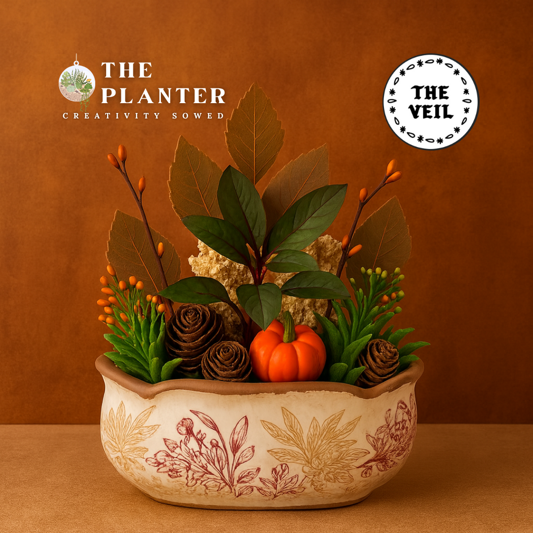 Plant & Sip at The Veil Brewing Co 11.12