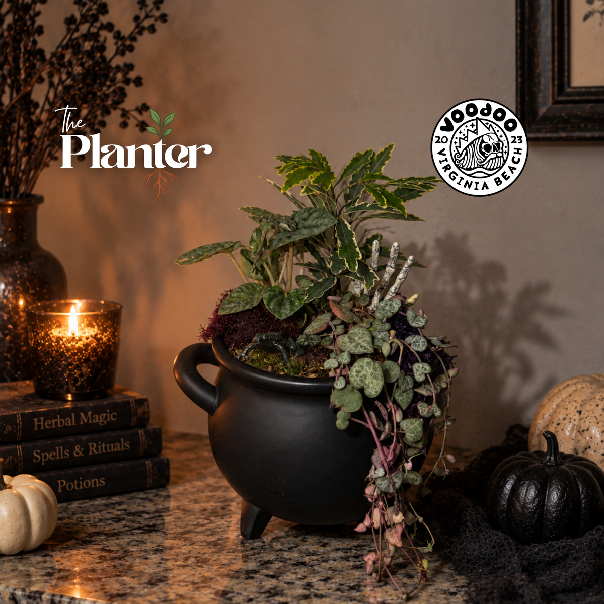Spooky Cauldron Workshop: Tropical Plants | Voodoo Brewing, Virginia Beach VA