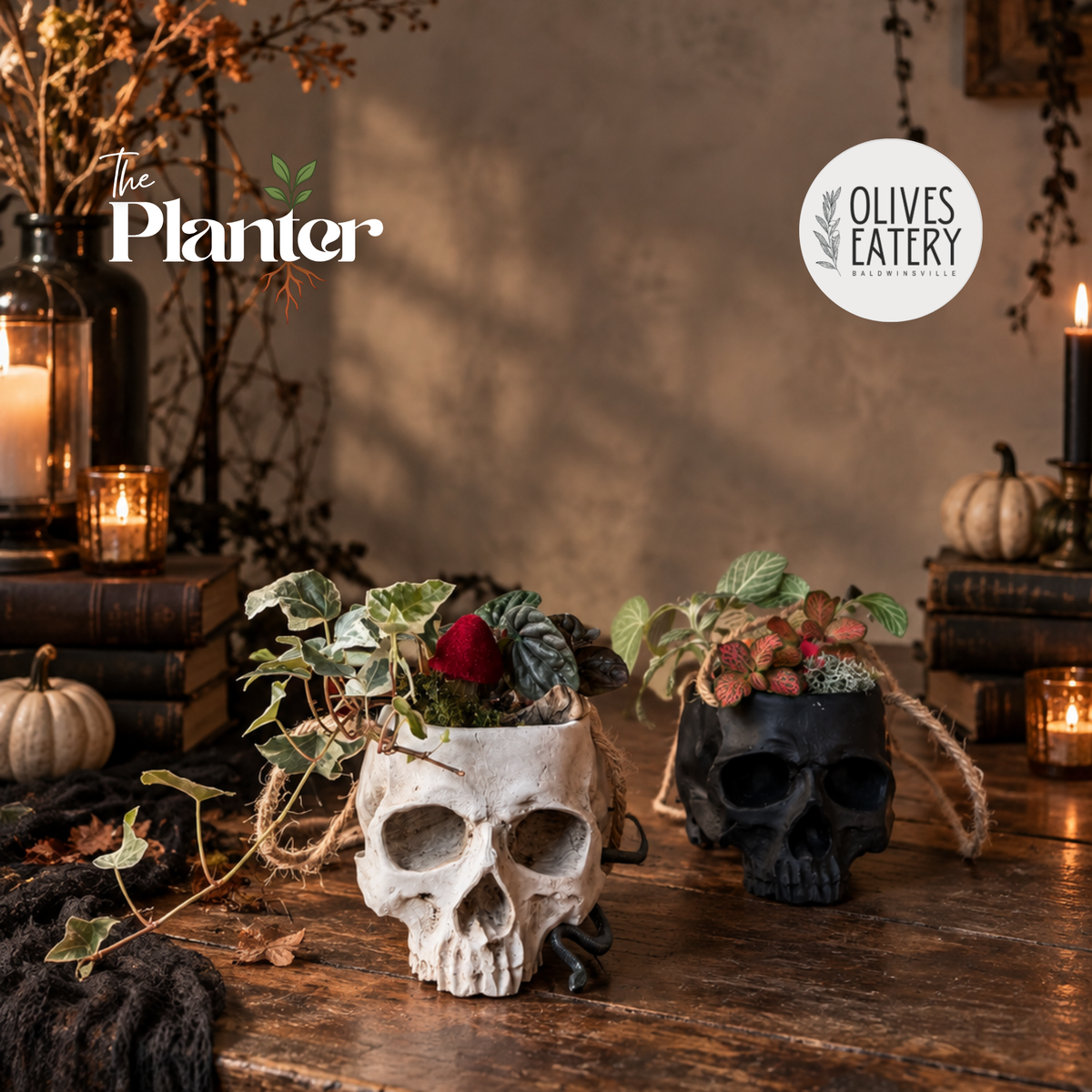 Skull Planter Workshop: Tropical Plants | Olive's Eatery & Shoppes, Baldwinsville NY