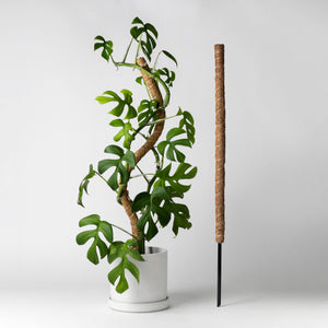 Kanso Designs - 32" Bend & Stackable Coco Coir Pole for Plant Support