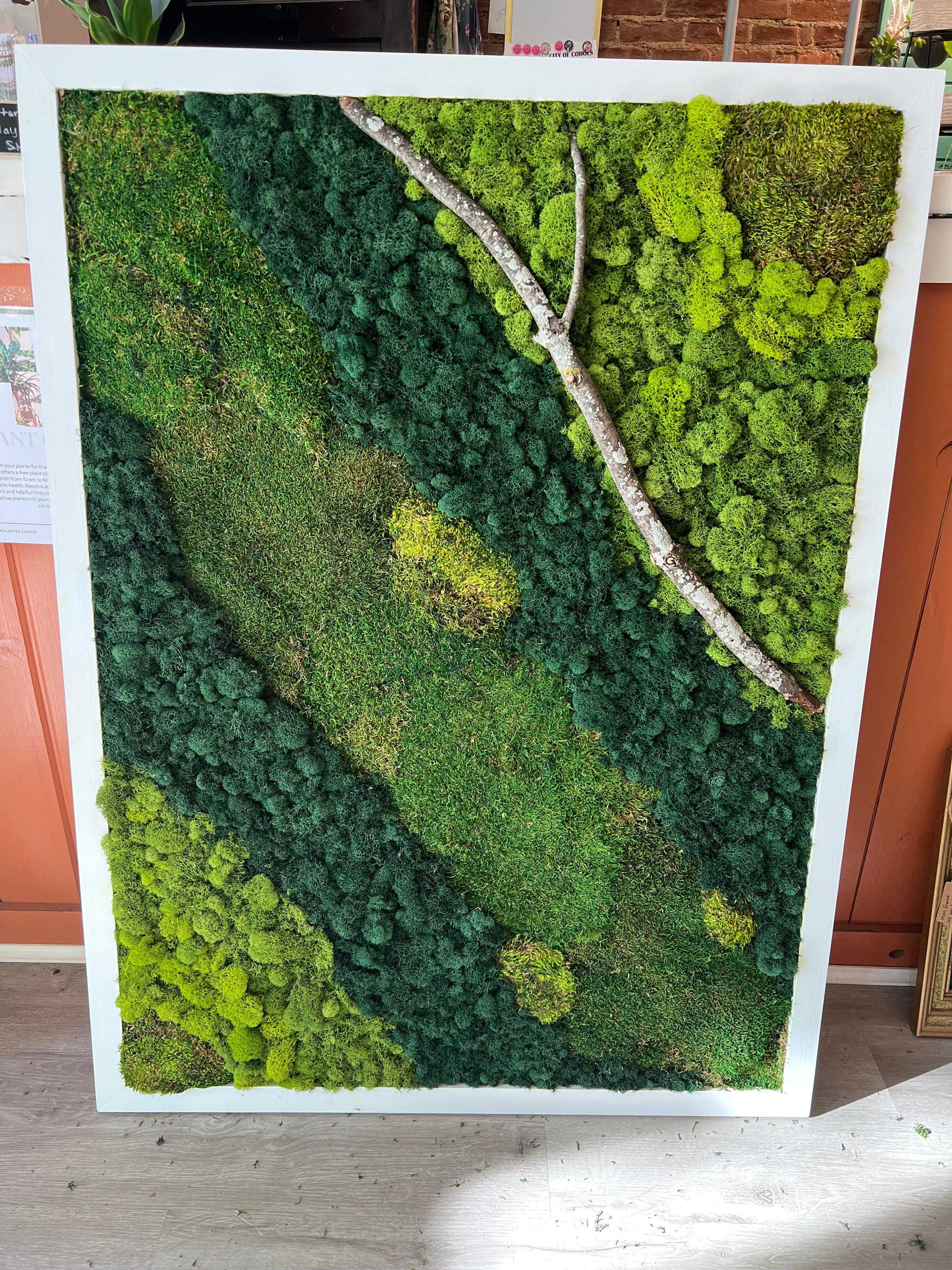 Commercial Moss Wall