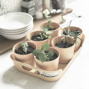 Time Concept - Sustainable Eco-Planter Herb Pot with Tray Set of 6